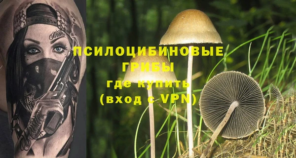индика Алексеевка