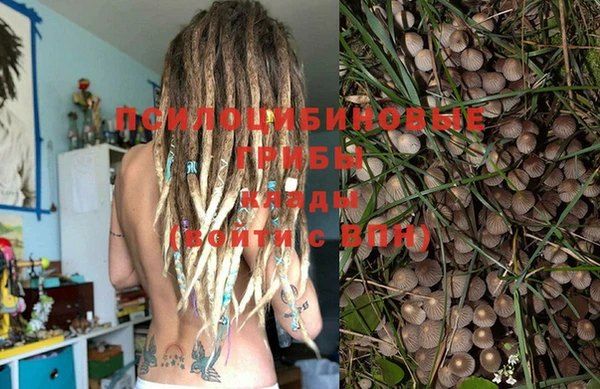 прущая мука Алзамай