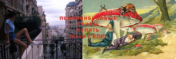 индика Алексеевка