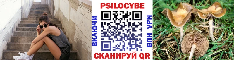 наркошоп  Туймазы  blacksprut как зайти  Галлюциногенные грибы мицелий 